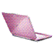 CS16G_PINK http://www.sonystyle.com.hk/resource/image/vgn_cs13g_p_e1_100px.gif